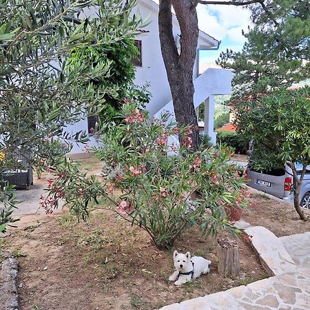 Apartmani Mw , Zuti Apartman Baška Exteriör bild