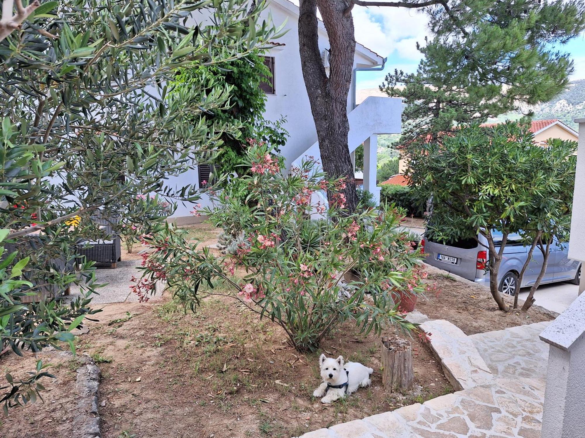 Apartmani Mw , Zuti Apartman Baška Exteriör bild